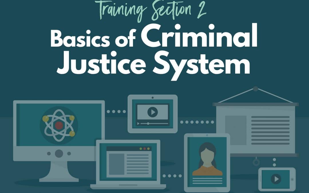 Basics of Criminal Justice